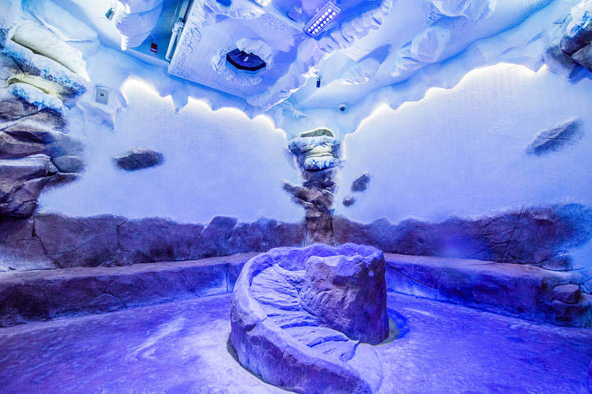 Penguin habitat attraction with immersive lighting design